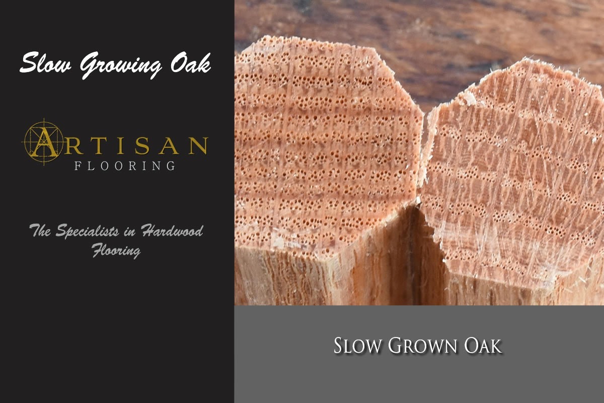 Artisan Flooring - Slow Grown Oak. Density