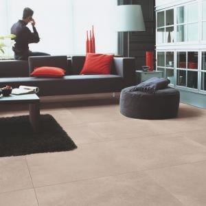 Artisan  Flooring - [Arte Polished Concrete Natural ]